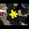 IMG_6397
3/21/2007 12:48:11 PM